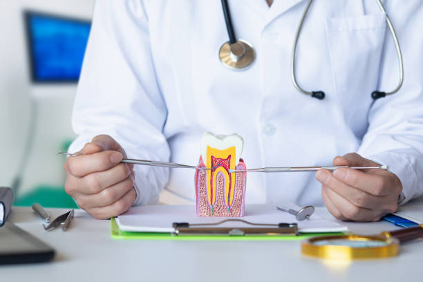 Best Emergency Denture Repair in Mledgevle, IL